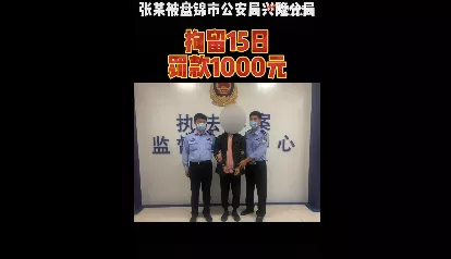 “不抓你,对不起牺牲的烈士”,轿车用辱华贴纸男子的处理结果