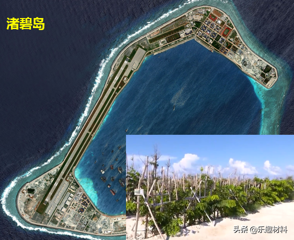 150多万株热带植物扎根南沙，三大岛加速转变成真正的自然岛