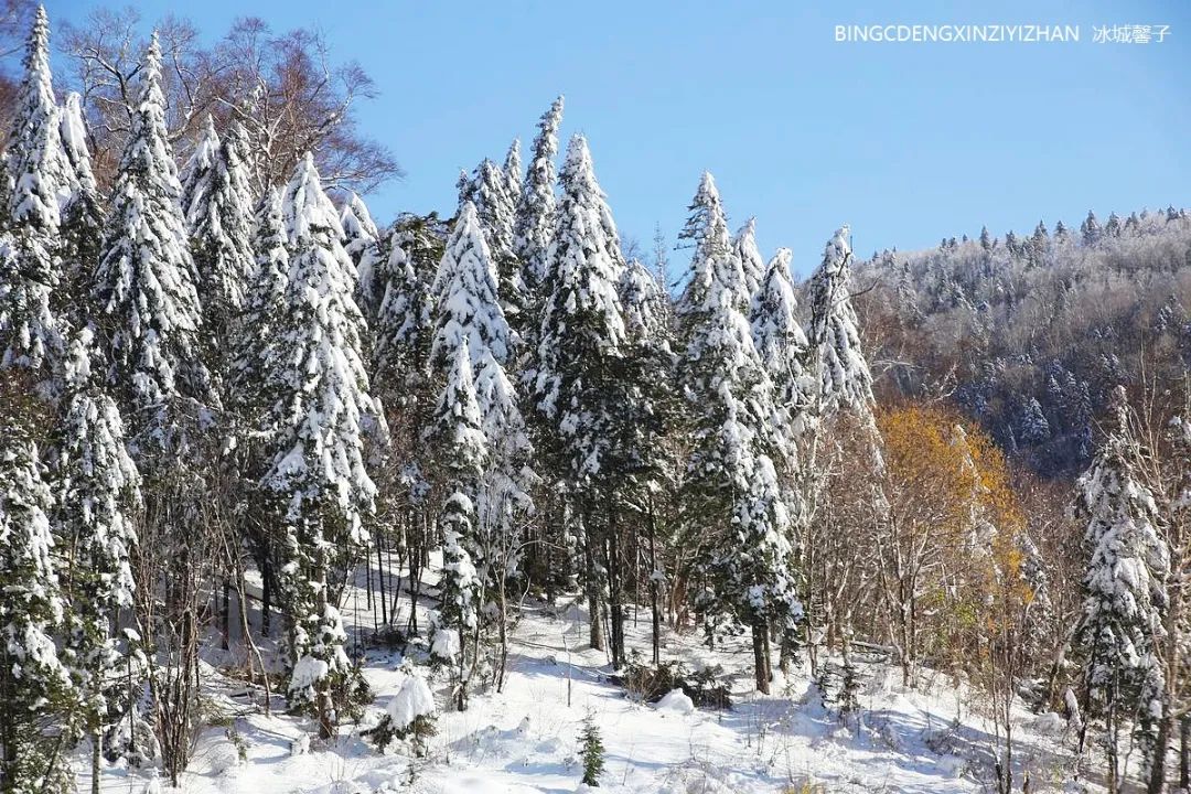 Xuexiang Tianlu, walking through the poetry of autumn leaves dancing with the first snow
