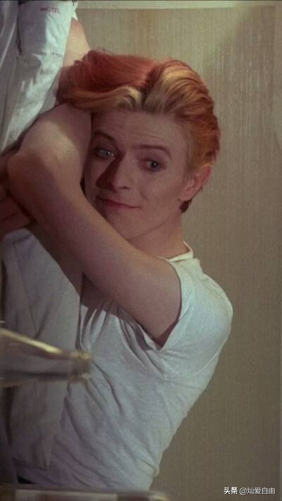 工藤静香、坂井泉水，动漫人物原型存疑，美人