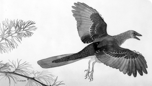 Arc'teryx始祖鸟为啥这么贵？深度解读始祖鸟的十大真相