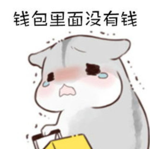 赴印度旅游遭遇\"封城\"，4男2女混居山洞