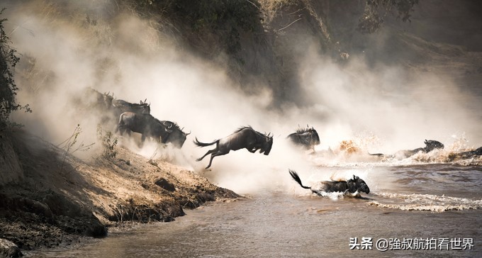 干货|第一次去肯尼亚怎么玩？经典玩法、路线大盘点！