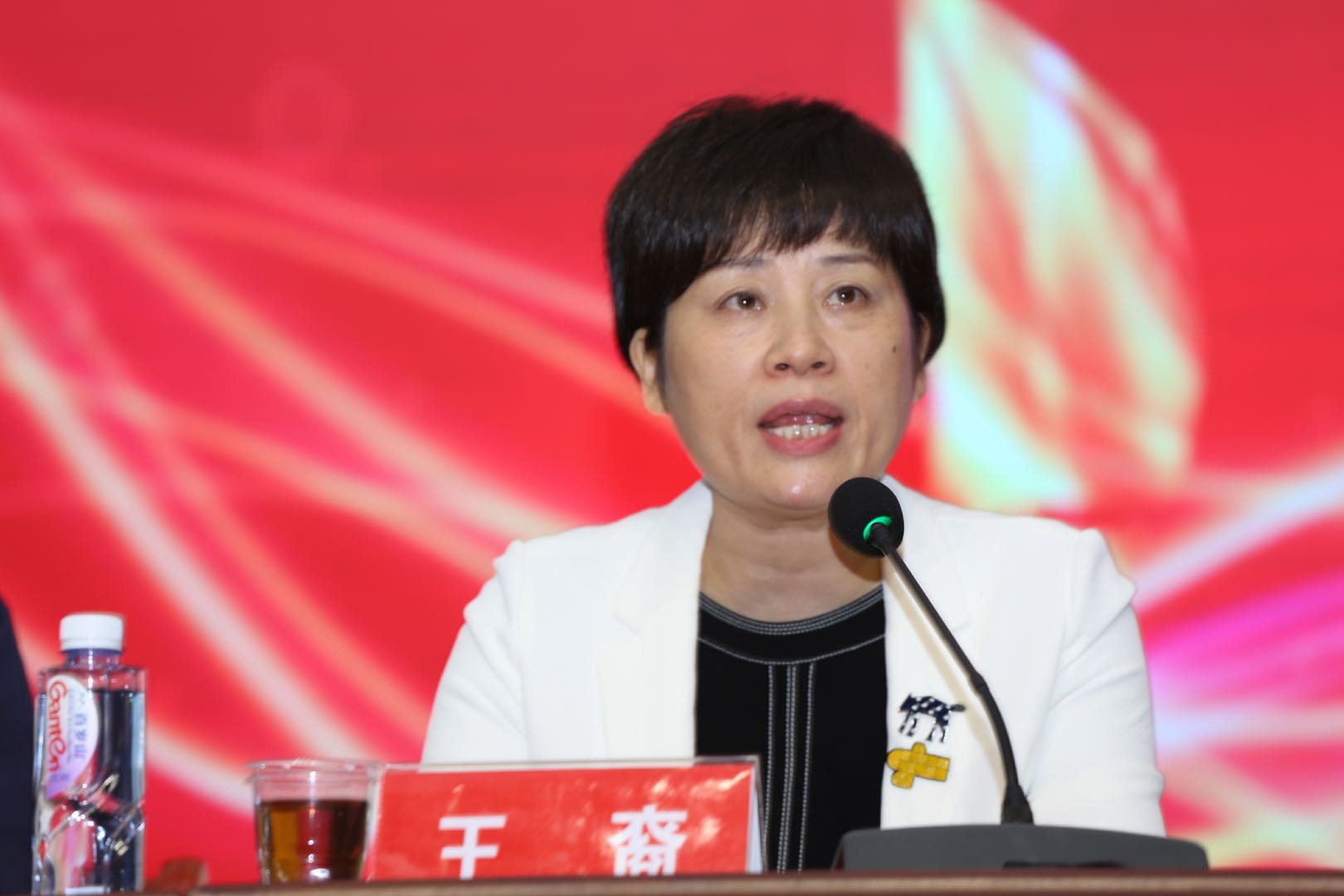 湖南省“中医药文化三湘行”公益活动走进南县