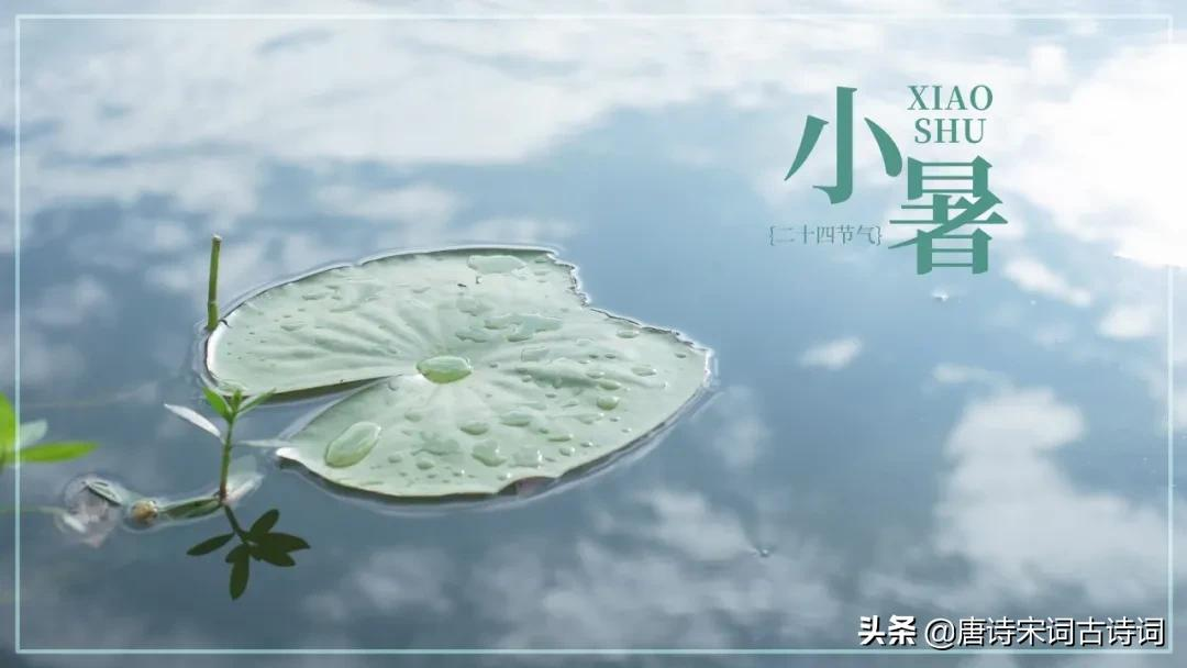 古诗词里的小暑节气-第1张图片-诗句网