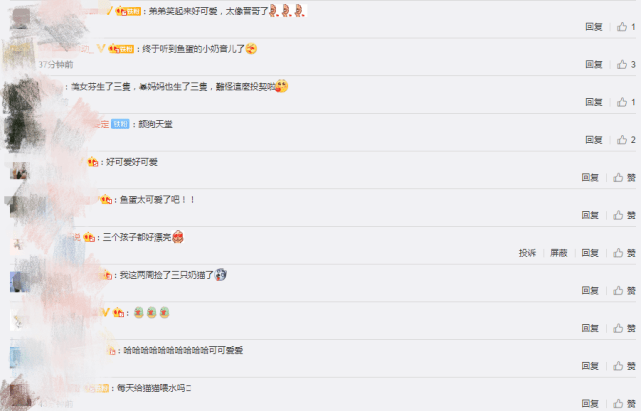 蔡少芬张晋携儿女喂流浪猫，一家五口幸福同框，鱼蛋小奶音超萌
