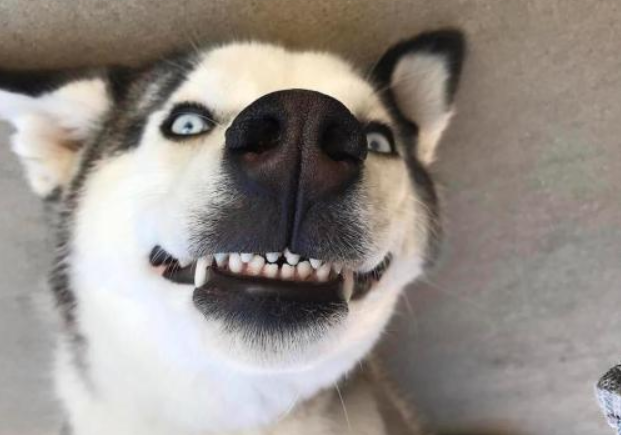 小家电销量暴增，发生了什么？