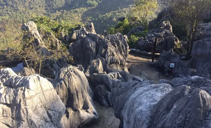 浙西的秘境山水打包送给你,这条自驾路线夏天去正好