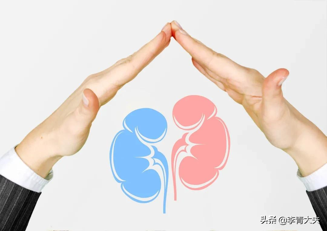 肾脏病知识科普（一） | 世界肾脏日：认识肾脏，了解肾脏病
