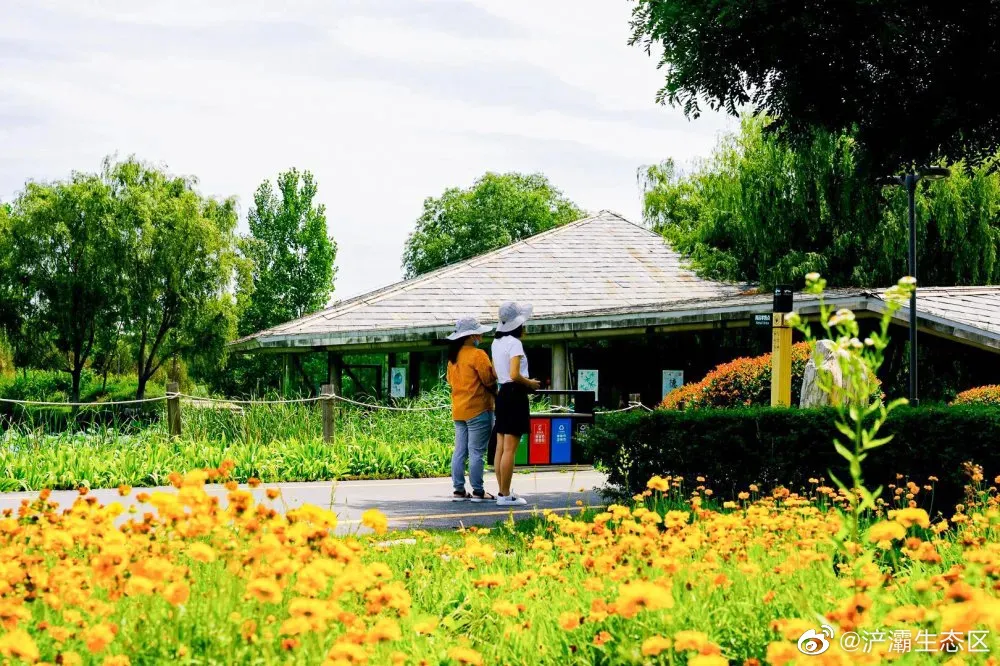西安周边一日游指南，给计划二刷的你