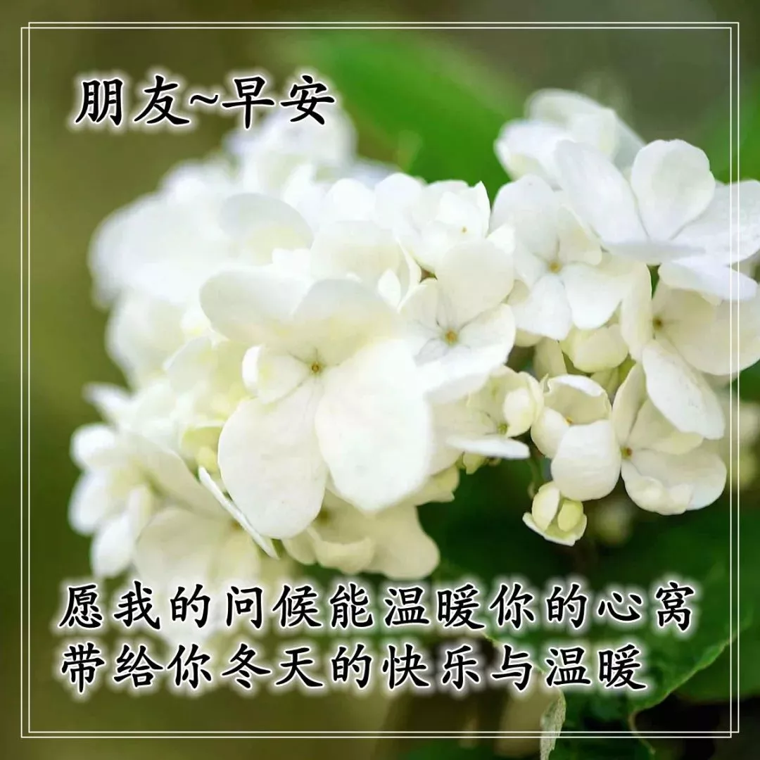 %title插图%num 早上好图片 祝福语问候语 早上好问候专辑 问候语大全