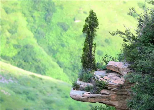 合陽(yáng)縣這些景區(qū)你知道多少,？