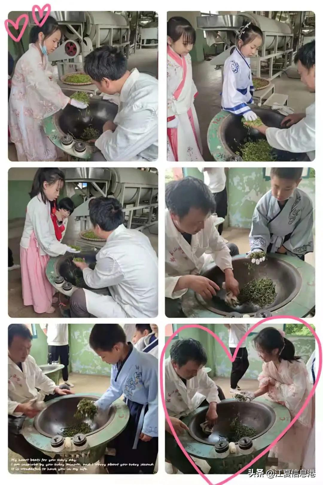 四月茶园沁芬芳，同学师生采茶忙，一起去江夏郑家山茶园采茶吧