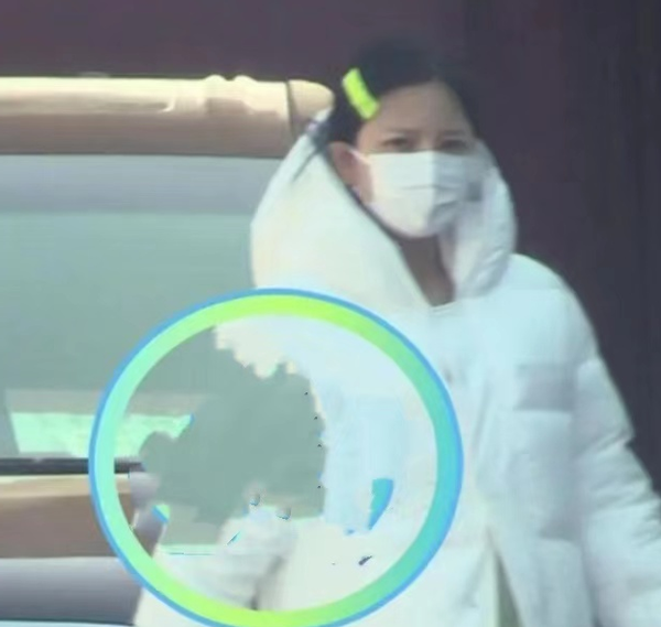 Du Chun wife facial exposure, element colour appearance is comely, eider down takes block not to live doubt of big abdomen apophysis is like have pregnant