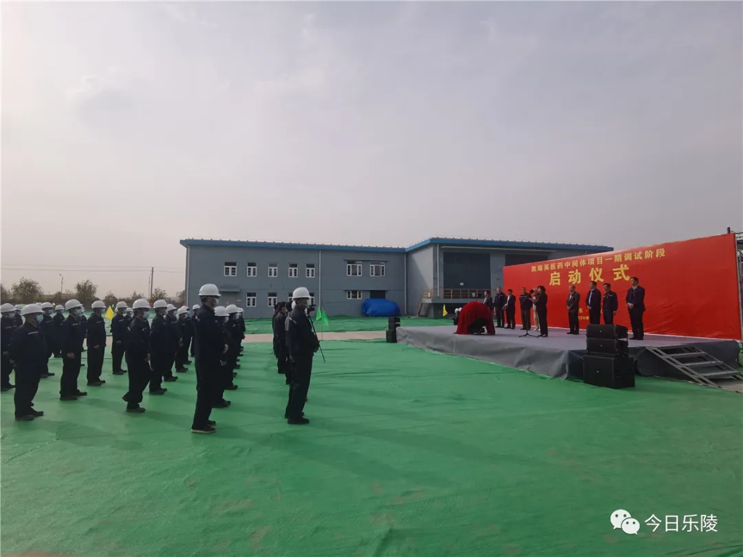 乐陵市重点项目——凯瑞英医药中间体一期项目成功调试启用