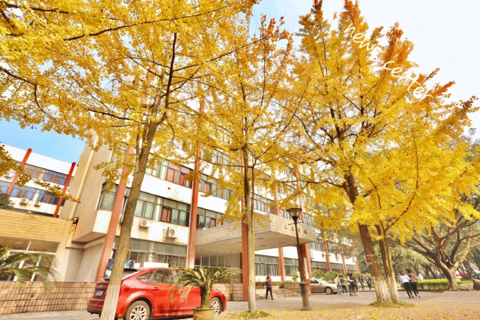 2020年重庆市公办大学排名：重庆大学获桂冠，西南政法第三名
