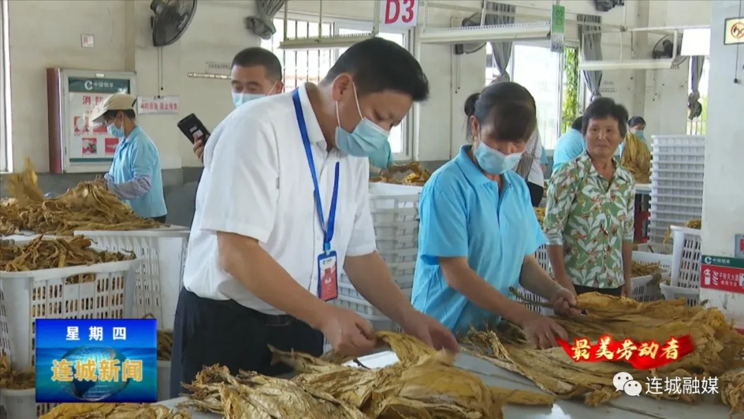 「最美劳动者」黄海锋：积极服务烟农 助农增收致富