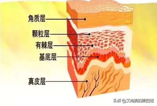 农乐生物 安瓶、原液、肌底液、精华液有什么不同?