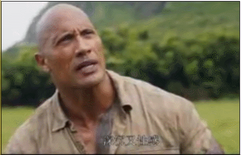 巨石强森竞选美国总统传闻实锤了，这么“大只