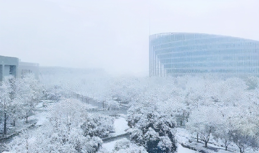 西安下雪啦!忽如一夜春风来,西安一梦回长安