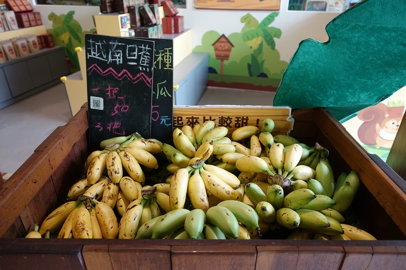 集集香蕉观光工厂对产业旅游的启示