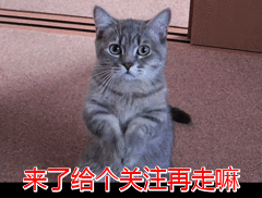 “特别国债”有多特别？仅发行过两次 或将撬动