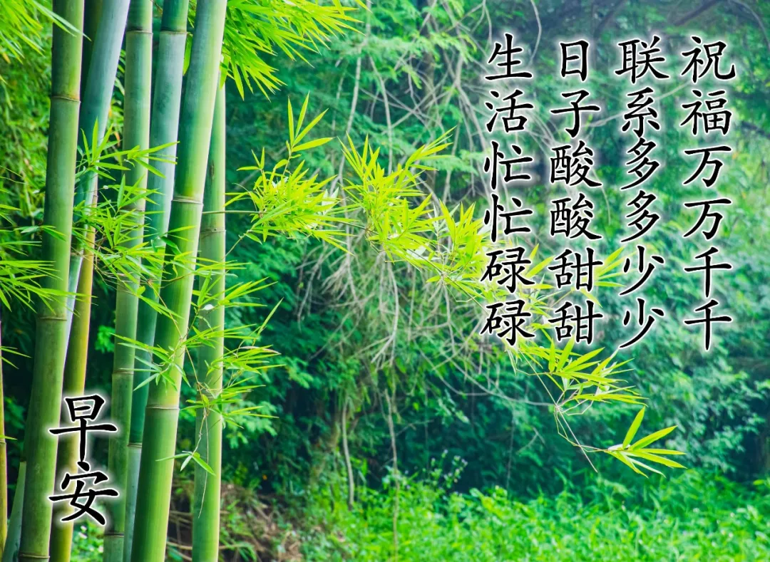 早上好文案配图片,早上好朋友圈正能量句子简短图片
