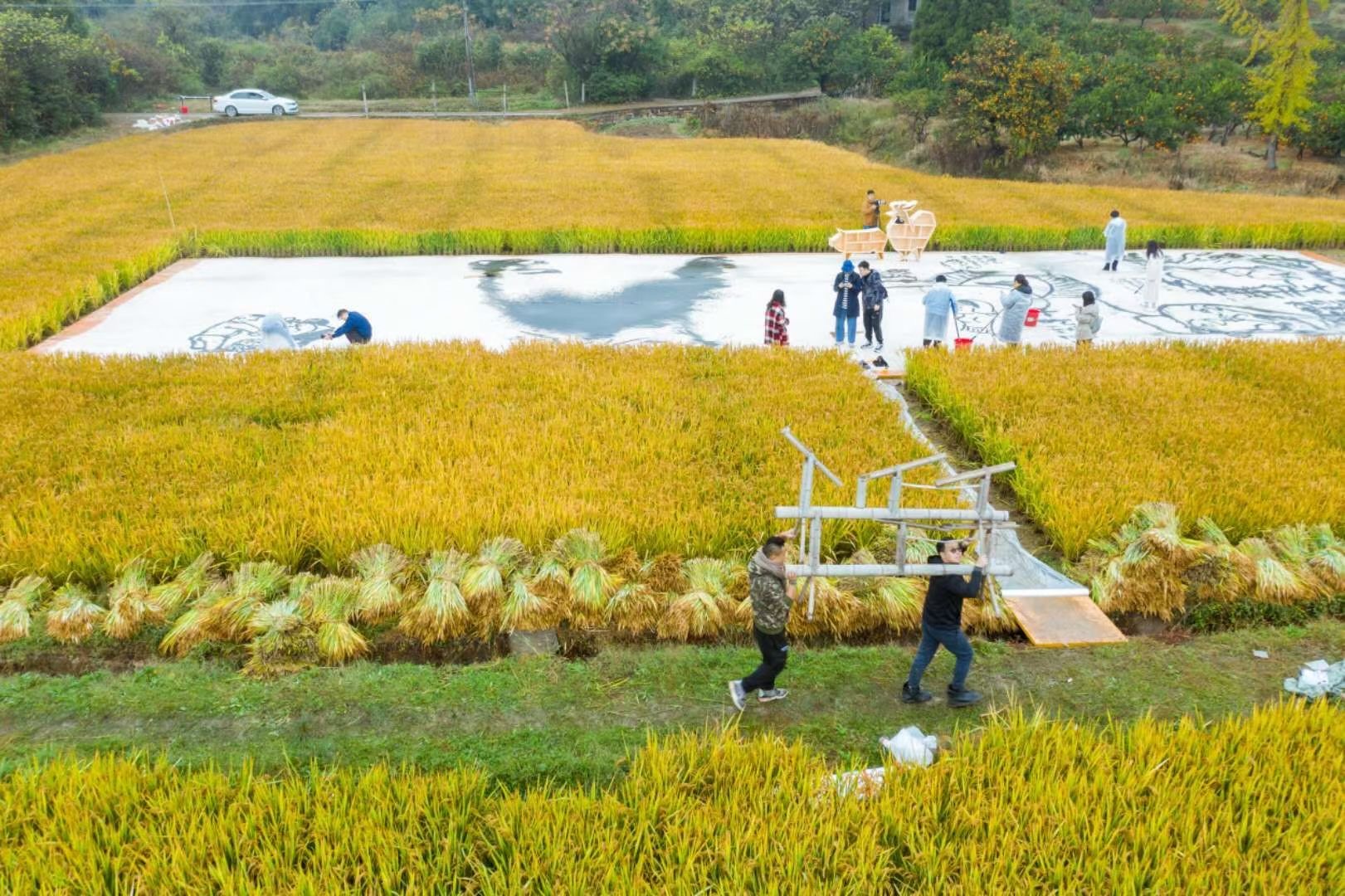 赞美诗展开进菜市场 温氏好肉走胃更走心