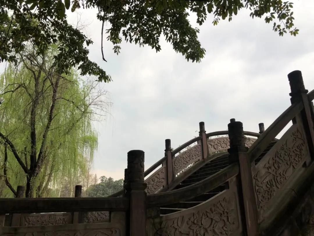 成都市双流区九江小学丨巾帼心向党 奋斗新征程