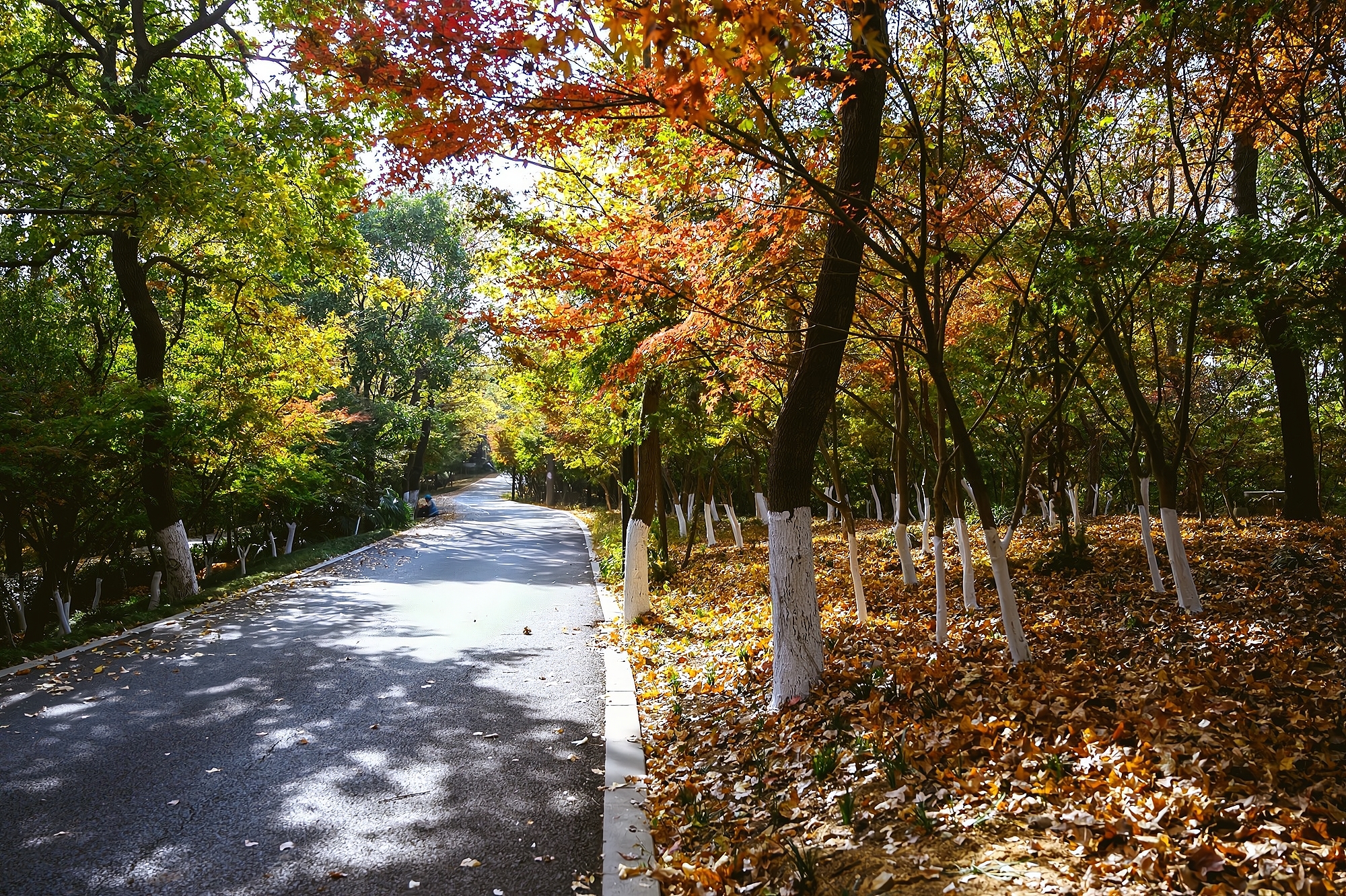 This mountain in Nanjing is the "First Mingxiu Mountain in Jinling" written by Emperor Qianlong. The scenery is more beautiful in autumn