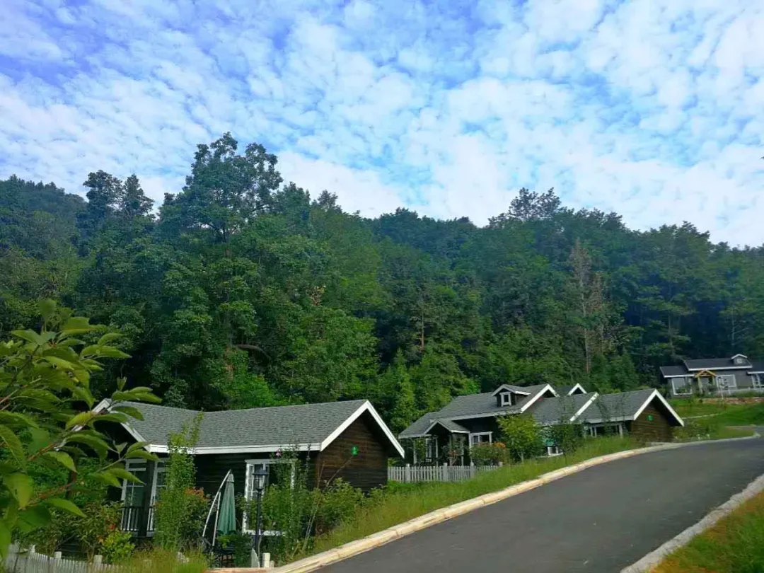 新縣盛夏七月來一場剛剛好的夏季旅行