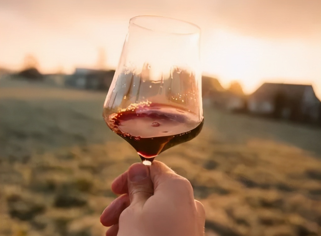 Why shake a glass when drinking wine? iNEWS