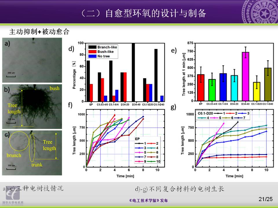 清华大学电机系杨颖副教授：向大自然学习，电工材料的设计与制备