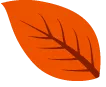 عȹʵһ죿ݹպã
