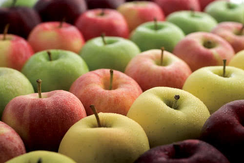 早上吃苹果是金，每天一个坚持半个月，身体健康会好转吗？