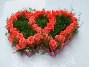 动态|情人节动态表情微信图片大全合集 情人节快乐动图送给大家