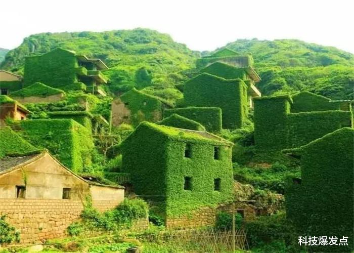 浙江的“无人村”，让我们看到了，地球上没有