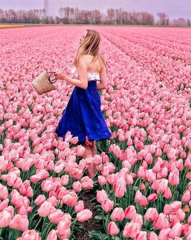 又到山花烂漫时 带上相机 约上妹子 来一场花海之旅吧 资讯咖