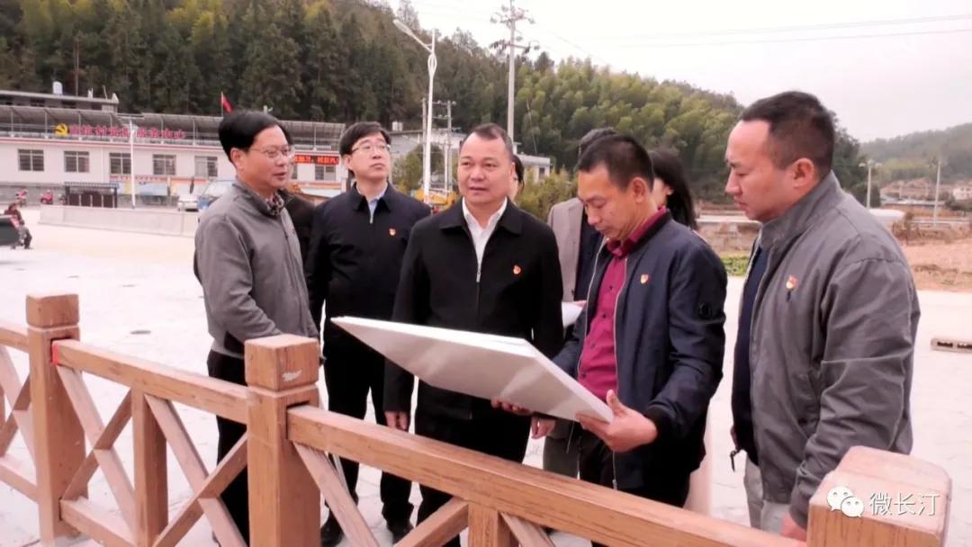 长汀县领导调研“田园牧歌•七星闪耀”乡村振兴跨村联建示范片