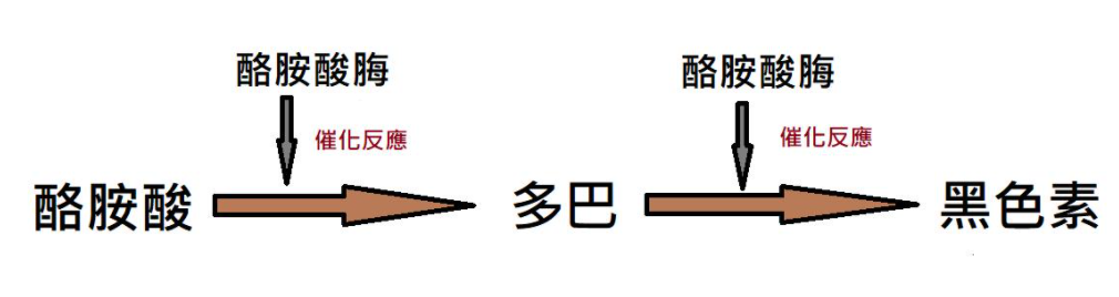 为什么你就是白不起来？这份“高效美白”攻略，学会了想不白都难