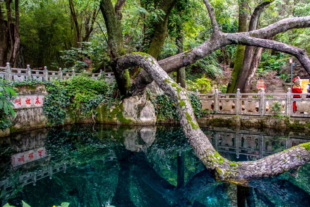 大理蝴蝶泉边的神话传说揭秘它如何成为大理的爱情胜地