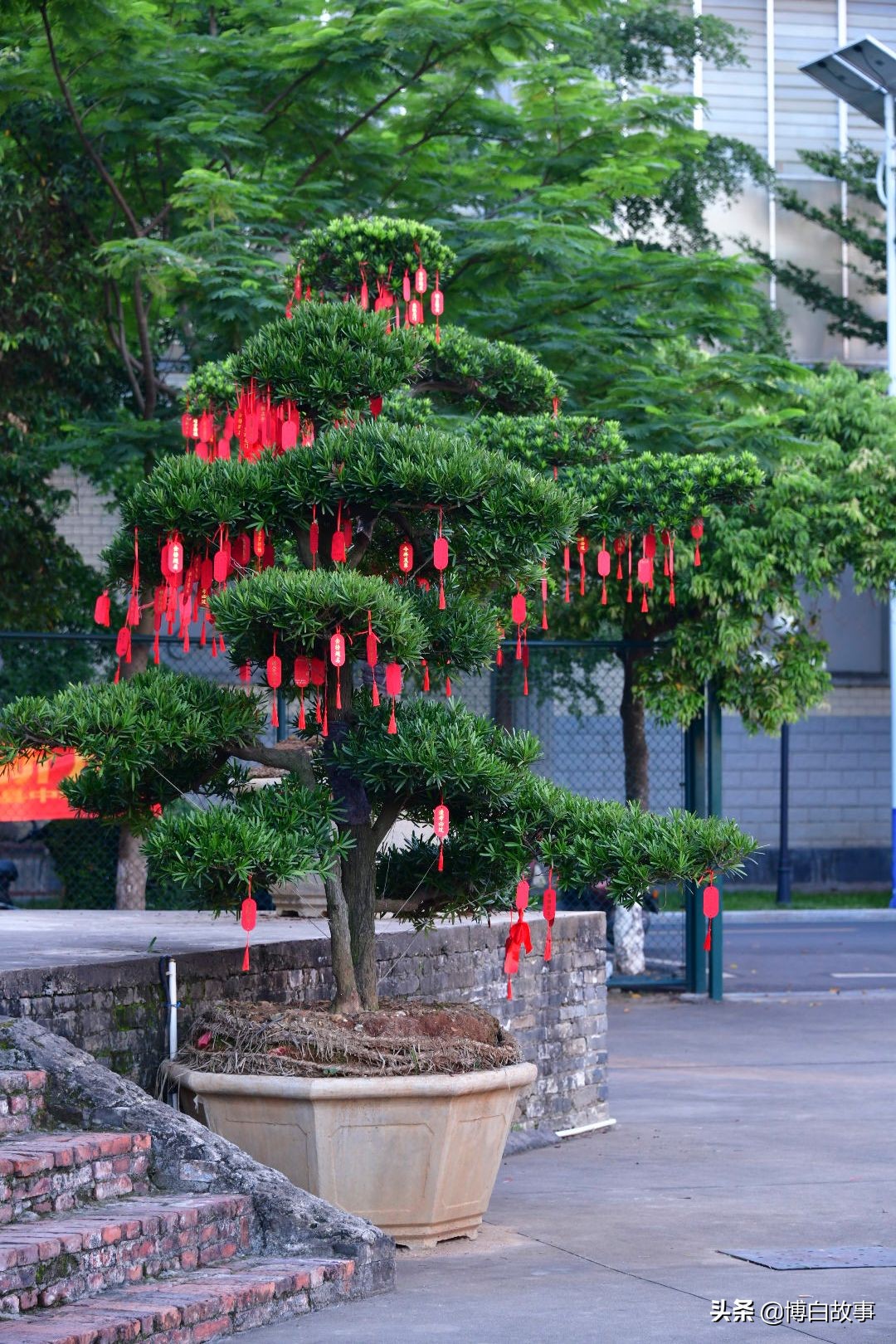 廣西縣中學(xué)舉行考前動(dòng)員大會(huì)!氣勢(shì)如虹(圖29) 廣西縣中學(xué)舉行考前動(dòng)員大會(huì)!氣勢(shì)如虹(圖29)