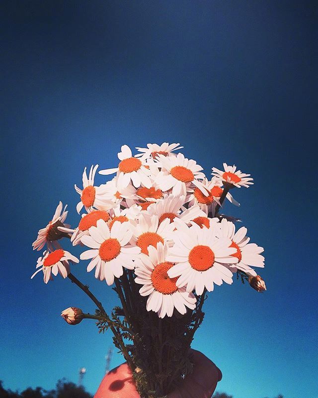 最有水平的人生哲理說說,句句引人共鳴