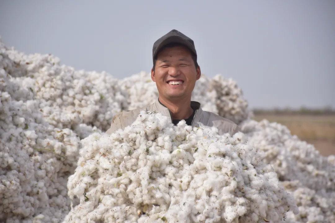 新疆棉花保卫战已打响！整个西方倾巢出动，这一仗中国必须打赢