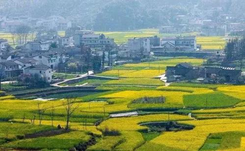 一碗蛋炒饭养活一个景区：日卖3万份，黔西南州用旅游致富脱贫