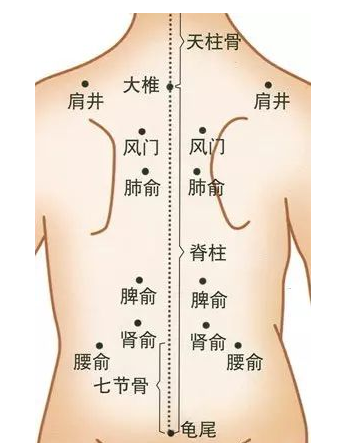 全身的准确位置图图片