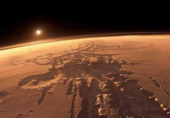 �ҹ�����ֱ�������࣬˫��������ҶƬ���΢�͹�����Ҳһͬ�Ƴ�