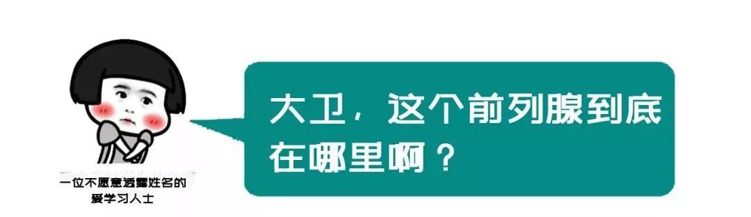 科普 | 年轻人，你对前列腺检查真的一无所知......