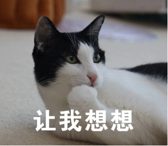 身家5亿却翻墙竞争对手偷拍？股价暴跌65%，他的