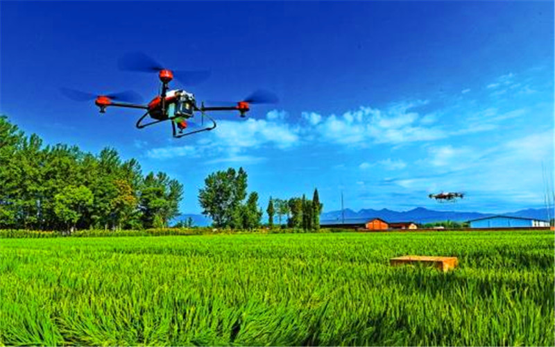 48岁的人有10万元资金，准备在农村创业，有哪些